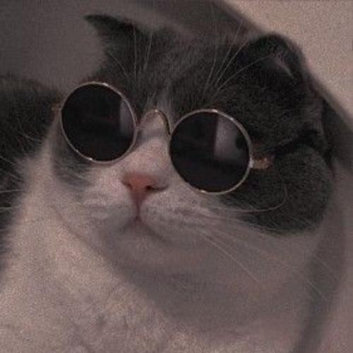 สมาชิกหมายเลข 4996253