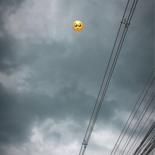 สมาชิกหมายเลข 5433135