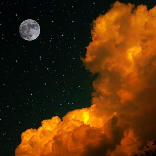 สมาชิกหมายเลข 5770835