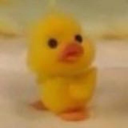 สมาชิกหมายเลข 5844720