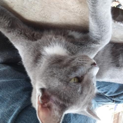 สมาชิกหมายเลข 5946865