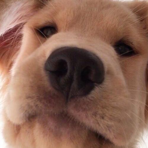 สมาชิกหมายเลข 5628337