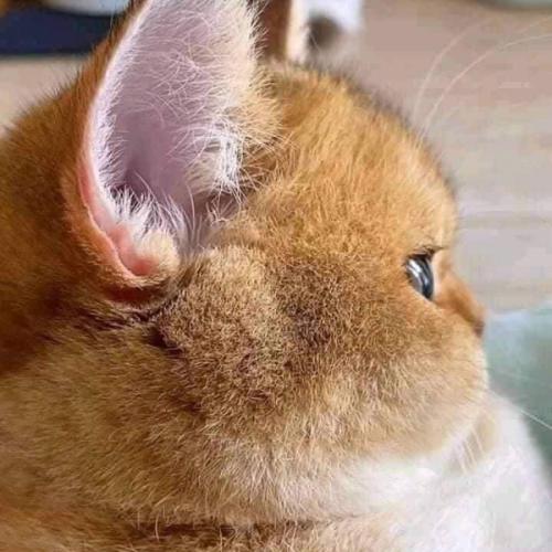 สมาชิกหมายเลข 6555036