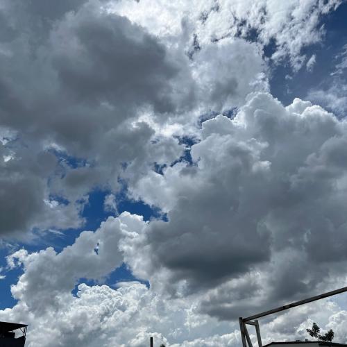 สมาชิกหมายเลข 3851952