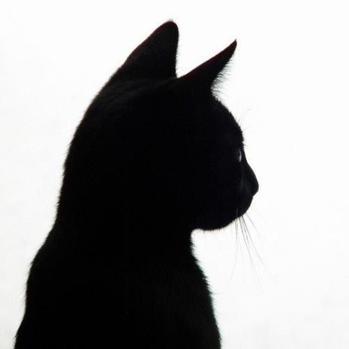 สมาชิกหมายเลข 7280344