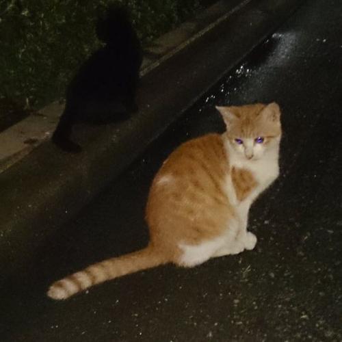 สมาชิกหมายเลข 7280376