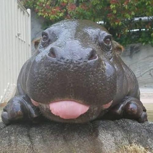 สมาชิกหมายเลข 7479875