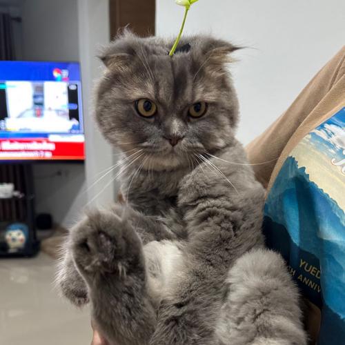 สมาชิกหมายเลข 1669874