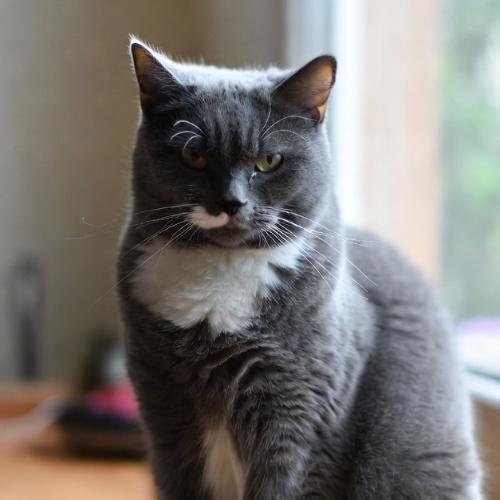 สมาชิกหมายเลข 4802208