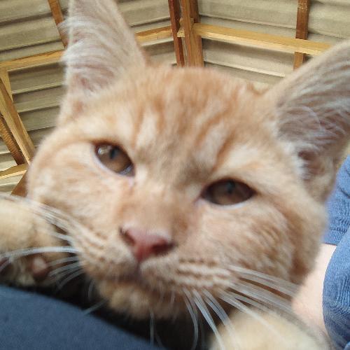 สมาชิกหมายเลข 5438688