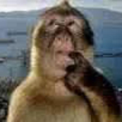 สมาชิกหมายเลข 9092244