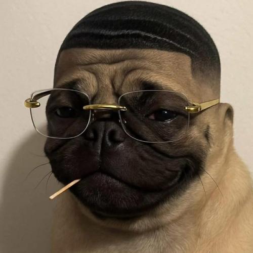 สมาชิกหมายเลข 9134503