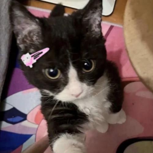 สมาชิกหมายเลข 9135780