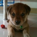 สมาชิกหมายเลข 1042320