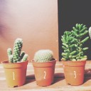 สมาชิกหมายเลข 3570004