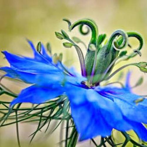 สมาชิกหมายเลข 2015623