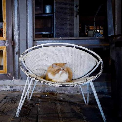 สมาชิกหมายเลข 5432735