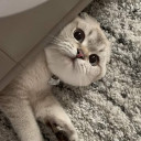 สมาชิกหมายเลข 5433286