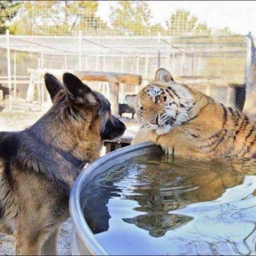 สมาชิกหมายเลข 3628477