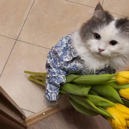 สมาชิกหมายเลข 5145496