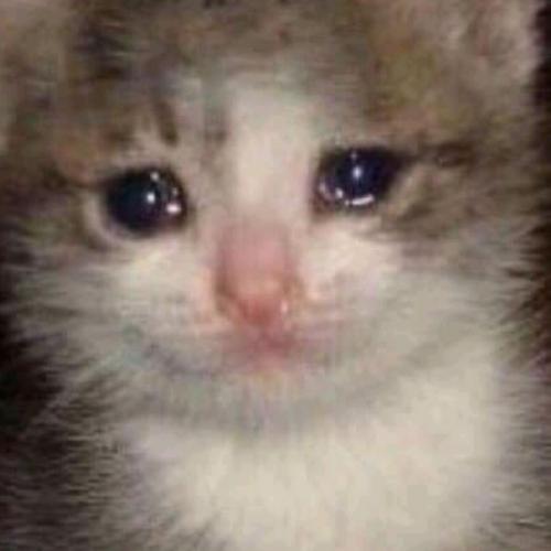 สมาชิกหมายเลข 4677334