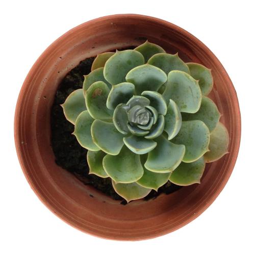 สมาชิกหมายเลข 8105480