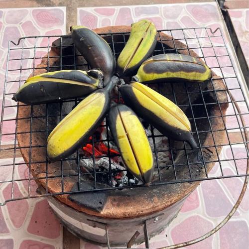 อยู่แต่สวน