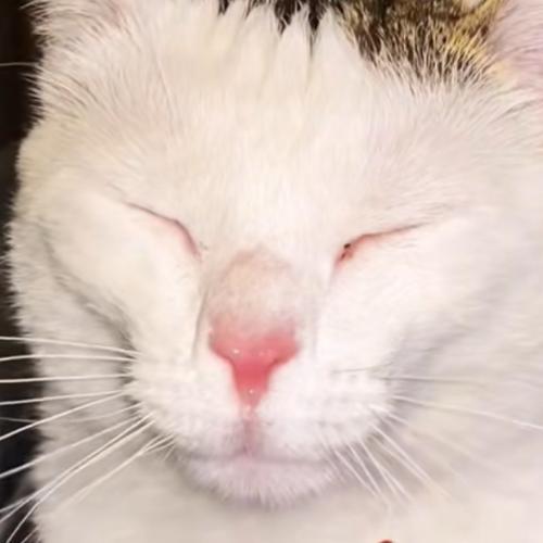 สมาชิกหมายเลข 6731294