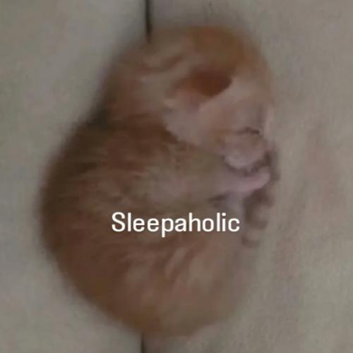 สมาชิกหมายเลข 9136585