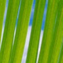 สมาชิกหมายเลข 3832026