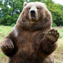 สวัสดีหมีจ๋า