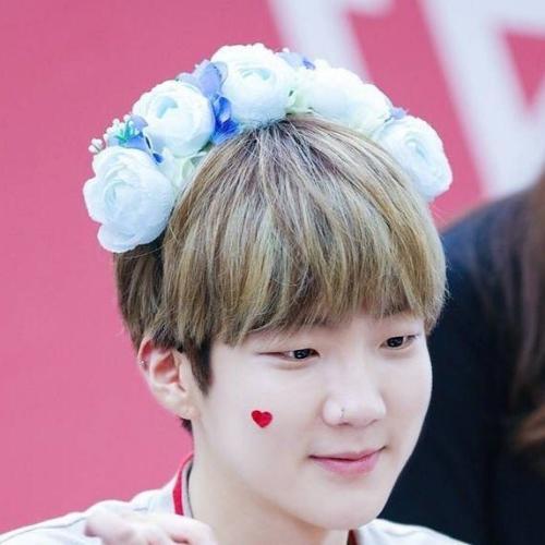 สมาชิกหมายเลข 4961984