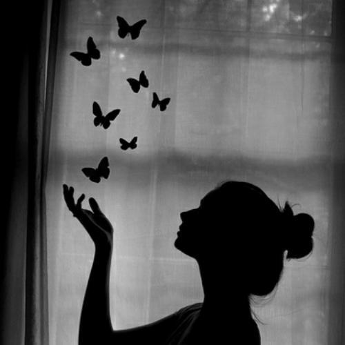 สมาชิกหมายเลข 5041563