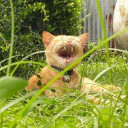 สมาชิกหมายเลข 1035779