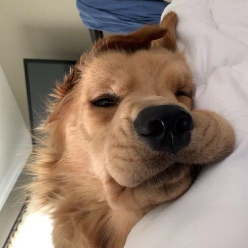 สมาชิกหมายเลข 5136979