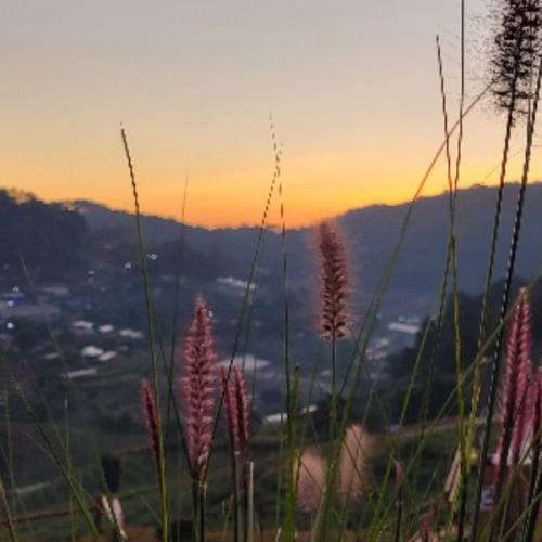 สมาชิกหมายเลข 2799034