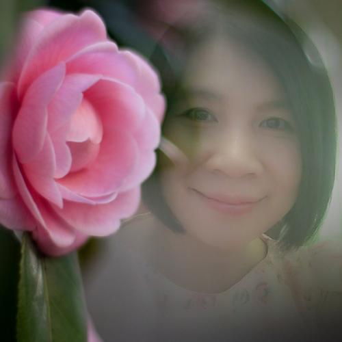 สมาชิกหมายเลข 4237129