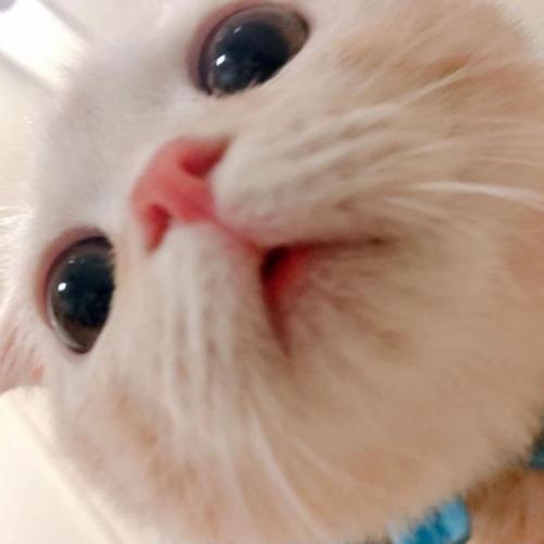 สมาชิกหมายเลข 4712261