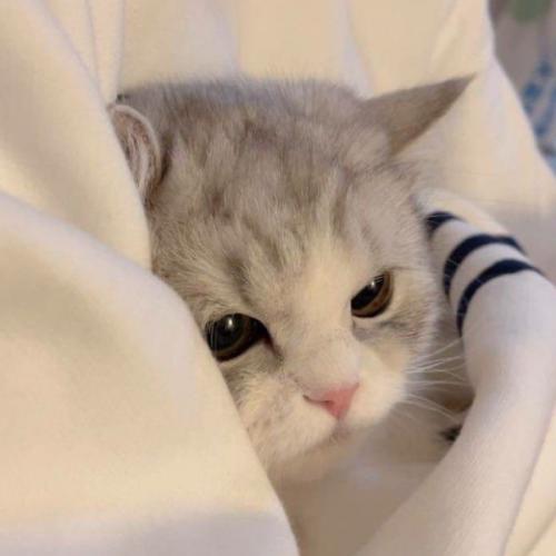 สมาชิกหมายเลข 6107838