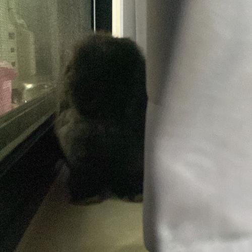 สมาชิกหมายเลข 6608677