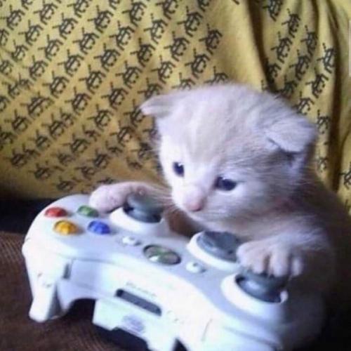 สมาชิกหมายเลข 7294883