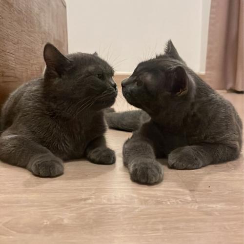 สมาชิกหมายเลข 8086470