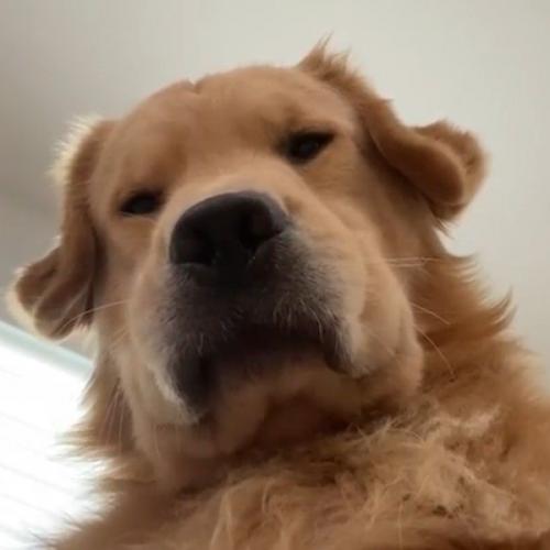 สมาชิกหมายเลข 6388668