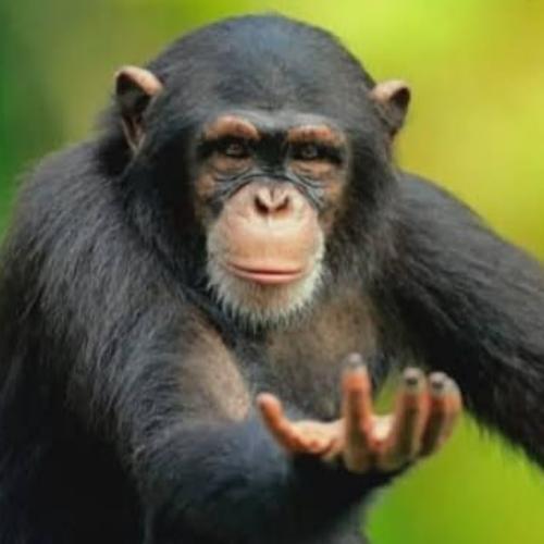 สมาชิกหมายเลข 6578631