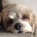 สมาชิกหมายเลข 3832733