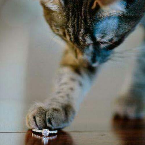 สมาชิกหมายเลข 4670535