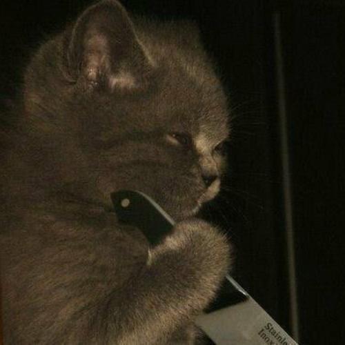 สมาชิกหมายเลข 3666944