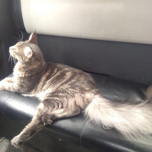 สมาชิกหมายเลข 2673297