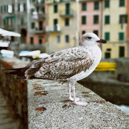 สมาชิกหมายเลข 5431515