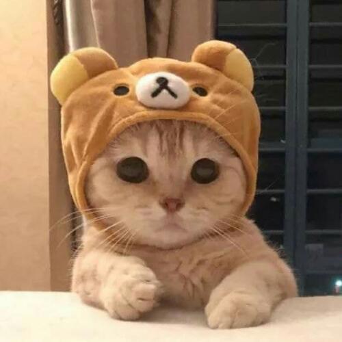 สมาชิกหมายเลข 5434342